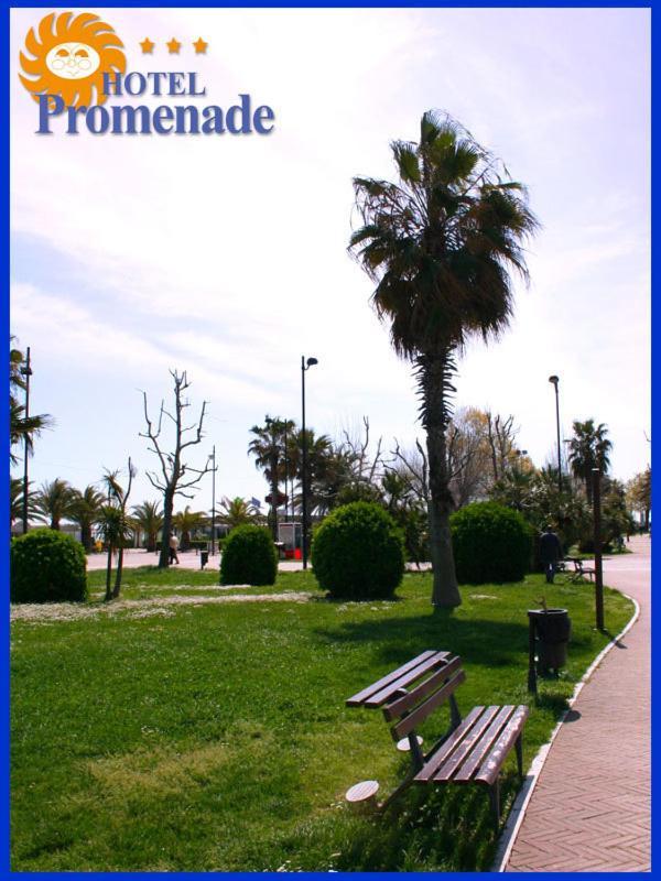 海滨长廊酒店 Porto SantʼElpidio 外观 照片